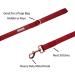 Lionet Paws Dog Leash - Silk Leash for Small Medium & Large Dogs | Matching Collars for Girls & Boys | Red (Pack of 1) - Buy Now - Buy Online on GoSupps.com