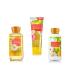 Bath & Body Works   Signature Collection    Love & Sunshine    Gift Bag   Shower Gel  Ultra Shea Body Cream & Body Lotion