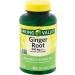 SV Ginger Root 550 mg Dietary Supplement Ginger Root Capsules t 100 Count + Sticker VSL