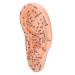 Human Ear Acupuncture Model with Acupuncture Points - Best Ear Massage Therapy Tool for Pain Relief & Wellness - Buy Online on GoSupps.com