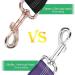 Adjustable Dog Seat Belt with Elastic Cushioning & Reflective Headrests - Universal Fit for All Breeds - Violet - Buy Online on GoSupps.com