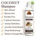 Okay Pure Naturals Coconut Deep Moisturizing Shampoo - 12 fl oz (355 ml) - Buy Online on GoSupps.com