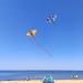 Dragon Kite for Kids & Adults - Easy-to-Fly Large Single Line Kite for Beach Trips - Buy Online on GoSupps.com