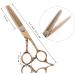 Hair Cutting Scissors Kit 6 Inch Hair Scissors Gold Plated Rhinestones Rose Gold Thinning Tooth Scissors Hair Stylist Special 440 Scissors Set - Buy Online on GoSupps.com