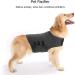 Wingfly Dog Calming Vest | Anxiety Relief Shirt for Dogs | Stress-Free Pet Jacket (M Gray) - Buy Online on GoSupps.com