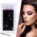 Auto Blooming Fadlash Easy Fan Lashes DD Curl 0.05 13-16mm Mixed Length Russian Volume Eyelash Extensions - Natural Look Self Fanning Lashes - Buy Online on GoSupps.com