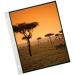 ProFolio by Itoya PolyGlass Landscape Refill Pages 14x11 - 10 Pack - Buy Online on GoSupps.com