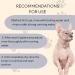 Kotomoda Cat Finger Silicone Toothbrush - Food-Grade Silicone for Gentle Cleaning (Soft Green) | International Shipping - Buy Online on GoSupps.com