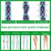 Varcoh Compression Leggings for Women - Medical Support Tights for Lipedema Varicose Veins & Pregnancy | Class 2 Compression Stockings - Black L - Buy Online on GoSupps.com