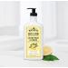 J.R. Watkins Daily Moisturizing Body Lotion Lemon Cream 18 fl oz 2 Pack Lemon Cream 18 Fl Oz (Pack of 2) - Buy Online on GoSupps.com