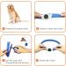 Laroo LED Dog Collar - USB Rechargeable Night Safety Luminous Collar for Small Medium Large & Long-Haired Dogs - 3 Modes 65cm x 2.5cm Blue - Buy Online on GoSupps.com