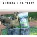 Manna Pro Chicken Scratch Garden Grains Treat for Chickens & Ducks | 2.25 lb Pack | Chicken Coop Supplies - Buy Online on GoSupps.com