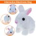 ZBATHTOY Interactive Rabbit Toy for 1-6 Year Old Boys and Girls | Birthday Gift for Toddlers | Educational Pet Toy for Kids Age 6M - Buy Online on GoSupps.com