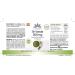 Premium Green Tea Extract 500mg - 90 Vegan Capsules | 50% Polyphenols - High EGCG | Herbadirekt by Warnke Vital Substances - German Quality - Buy Online on GoSupps.com