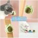 Havenfly 3 Catnip Balls Interactive Cat Toys 360 Rotating Catnip Treats with Storage Lid Effective for Cleaning Teeth and Enhancing Cat's Excitement (3PCS) - Buy Online on GoSupps.com