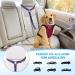 Slowton Dog Car Belt - 2 Pack Adjustable Headrest Restraints | Reflective Rubber for Safe Travel - C.Lila - Buy Online on GoSupps.com