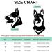 Dog Helmet And Goggles Set Pet Helmet And Goggles For Dogs Dog Sunglasses Adjustable Dog Hats Head Guard For Small Medium And Large Dogs S//L S code sports helmet +02 black - Buy Online on GoSupps.com