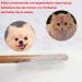Premium Dog and Cat Brushes - 3-in-1 Fur Combs for All Breeds | Effective Pet Grooming Tools - International Shipping Available - Buy Online on GoSupps.com