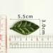 YYCRAFT 180 PCS Dark Green Satin Velvet Leaf Appliques - Padded 2-Faced Craft Supplies - Buy Online on GoSupps.com
