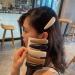 Hair Clips PU Leather Hair Clip Sponge Padded Barrette Solid Thick Hairpin Women Hair Snap Korean Style Headwear Blue Hair Clips (Size : Khaki 1) - Buy Online on GoSupps.com