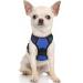 Rabbitgoo dog harness Small dogs anti -train dishes dog with control no pull adjustable dog dishes large dogs breathable reflex stripes breast harness dog safe guidance blue xs XS (1 Pack) blue