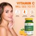 Vitamin C 1250mg Amla & Orange Peel Extract| Boosts Immunity & Skin Health | Antioxidant Support for Men & Women | Supports Collagen Formation | 60 Veg Tablets - Buy Online on GoSupps.com