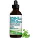 Liquid Chlorophyll Drops Unflavoured 15X Concentrated 100ml Cold Extracted from Non-GMO Alfalfa - Detox - Alkaline - Natural Body Deodorant Antioxidant - Made in Canada