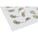 FAYETTE gold nail stickers Nail Art Stickers for Lady - Buy Online on GoSupps.com