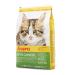 Josera Kitten Grainfree (1 x 10 kg) |Cereal -free cat food with salmon oil |Super premium dry food for growing cats1 Pack 10 kg (1 Pack) single