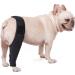 GANAZONO Dog Hindleg Cover Paw Butter Balm for Dogs Comfy Brace Dog Rear Leg Splint Care Elbow Pads S As Shown - Buy Online on GoSupps.com