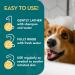 The Healthy Dog Co 500ml Flea, Tick & Lice Shampoo for Dogs and Cats - Gentle Deep Cleansing Formula for Puppies and Kittens - Buy Online on GoSupps.com