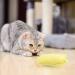 10 Plush Interactive Cat Mouse Toys with Mint | Cute Kitten Toys & Fun Cat Accessories - Buy Online on GoSupps.com
