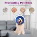 Halskrause Dog Leak Protection - Adjustable Soft Collar Tape Breathable Elizabethan Neck Band for Pets (Size S Blue) | Eco-Friendly Dog Collar - Buy Online on GoSupps.com