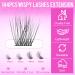 144 Pcs Wispy Lashes Clusters - Natural Eyelash Extensions DIY Kit 10-16mm C Curl Ultra Thin Band - Buy Online on GoSupps.com