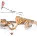 ORFOFE Reptile Feeding Clip Aquarium Pipette Feeding Tools Snake Tong Silver Stainless Steel - Buy Online on GoSupps.com