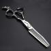 Professional 6-Inch Japan Hair Styling Scissors - Chinese Dragon Design - Ideal for Hairdressers & Salons - Buy Online on GoSupps.com