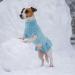 Alagirls Classic Turtleneck Dog Sweater - Soft Breathable Dog Clothing for Chihuahua | Warm Holiday Coat for Pets - XXLarge Blue - Buy Online on GoSupps.com
