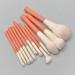 Buy DFHBFG 12 Piece Wood Handle Makeup Brush Set Perfect for Concealer Eye Shadow Blush & Powder | International Shipping Available - Buy Online on GoSupps.com
