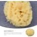 Yardwe Body Wash Scrubber Esponja para Ba arse Bath Scrubber for Body Cleaning Scrubber Skin Scrubber Bathroom Shower Ball Shower Supplies Bath Ball Baby Sponge Take a Bath Accessories - Buy Online on GoSupps.com