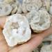 Natural Magic 2pcs 4-5cm Natural Agate geode Crystal Geode s and Crystals Gifts Quartz Crystal - Buy Online on GoSupps.com