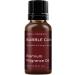 Mystic Moments Bubble Gum Fragrance Oil 10ml | Ideal for Soaps, Candles, Bath Bombs, Oil Burners, Diffusers, Skin & Hair Care - Buy Online on GoSupps.com