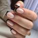 Shop 24-Piece Black French Press On Nails - Full Cover Gel Nails Short Square Artificial Fingernails - Buy Online on GoSupps.com