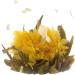 The Exotic Teapot - Flowering Tea Selection Box 3 Sampler Tins of Blooming Tea Jasmine Flower Tea Balls - Buy Online on GoSupps.com