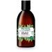alkmene Anti-greasy shampoo with organic nettle - shampoos for oily hair - vegetable shampoo without silicones parabens mineral oils SLS and SLES - shampoos (1x 250 ml)