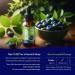 Healeaf Drops SLEEP Melatonin & Hemp Oil Liquid Sleep Aid Drops - Infused with Omega 3 6 9 for Joint Support Stress & Anxiety Relief Promotes Healthy Sleep Patterns with Natural Flavor Non-GMO Anti Inflamatory Formula - Buy Online on GoSupps.com