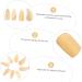 POPETPOP 8 Pcs Guzheng nail pieces Guzheng Tools instrument fake nails false nail tips Finger thumb picks Guzheng Nail Covers guitar nail picks portable child erhu musical instrument horns 3X1.2X0.1CM Light Yellow - Buy Online on GoSupps.com
