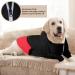 Meioro Dog Hoodies - Warm Zipper Pet Clothes for Small Dogs - Cute Black Hoodie (S) - Buy Online on GoSupps.com