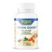 DR. HERBAL WELL Vision Guard All in One Complete Eye Support 60 Capsules