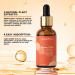 Buy Face&Firm 20% Vitamin C Face Serum - Anti-Aging with Vitamin E Ferulic Acid & Hyaluronic Acid - Maximum Potency for Youthful Skin - 1fl.oz/30ml - Shop Internationally - Buy Online on GoSupps.com