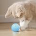 2PCs Power Ball 2.0 Cat Toy - Interactive Rotating 360 Automatic Cat Toy for Fun & Exercise | Aiveys - Buy Online on GoSupps.com